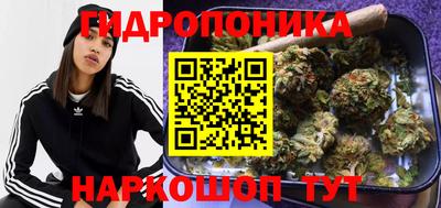 кокс Дубна